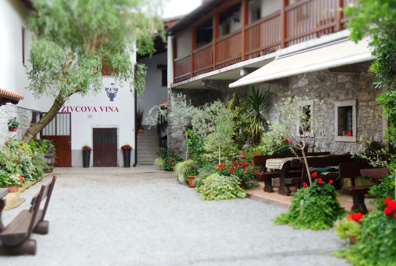 Apartment Apartmaji Pri Zivcovih *