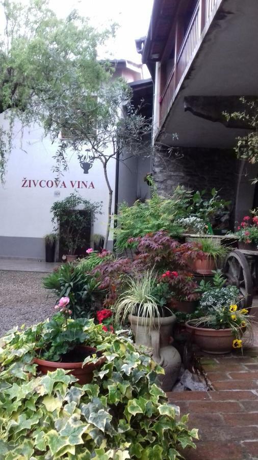 Apartment Apartmaji Pri Zivcovih Dutovlje